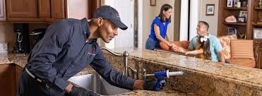 Best Termite Inspection and Treatment  in , AZ